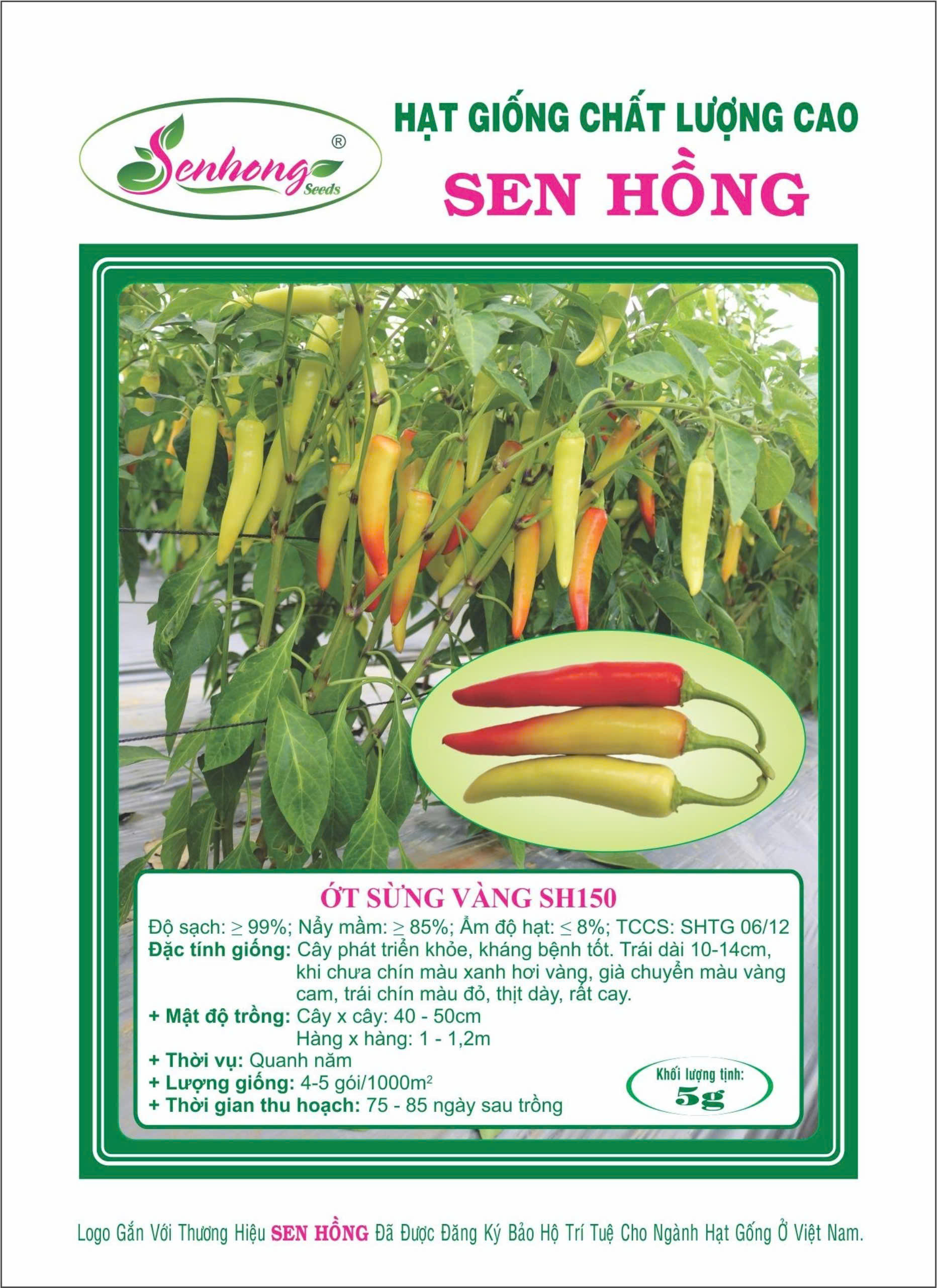 hạt giống ớt sừng vàng sh150 công ty sen hồng