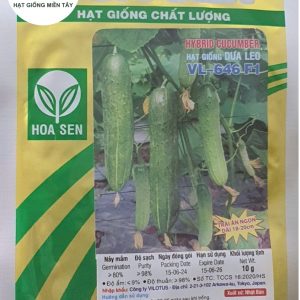 HẠT GIỐNG DƯA LEO F1 VL-646