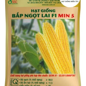 HẠT GIỐNG BẮP NGỌT LAI F1 MIN 5