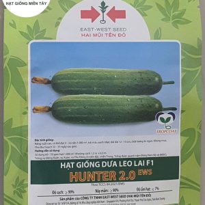 HẠT GIỐNG DƯA LEO LAI F1 HUNTER 2.0 EWS