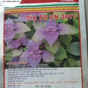 HẠT GIỐNG TÍA TÔ CN 3011