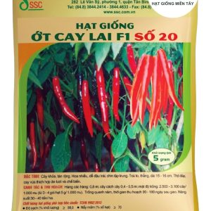 HẠT GIỐNG ỚT CAY LAI F1 SỐ 20