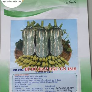 HẠT GIỐNG BÍ ĐỎ HẠT ĐẬU CN 1818