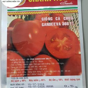 HẠT GIỐNG CÀ CHUA F1 GANDEEVA 366