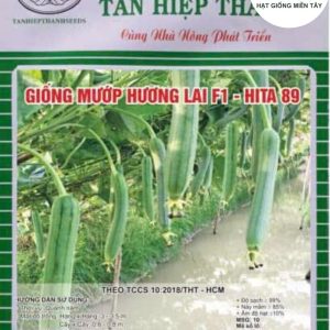 HẠT GIỐNG MƯỚP HƯƠNG LAI F1 HITA 89