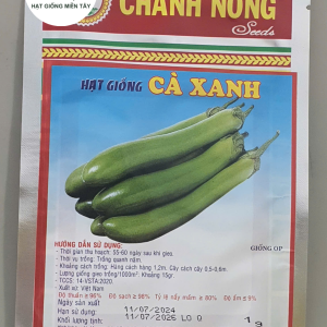 HẠT GIỐNG CÀ XANH