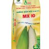 HẠT GIỐNG BẮP NẾP LAI F1 MX 10
