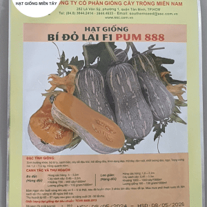 HẠT GIỐNG BÍ ĐỎ LAI F1 PUM 888