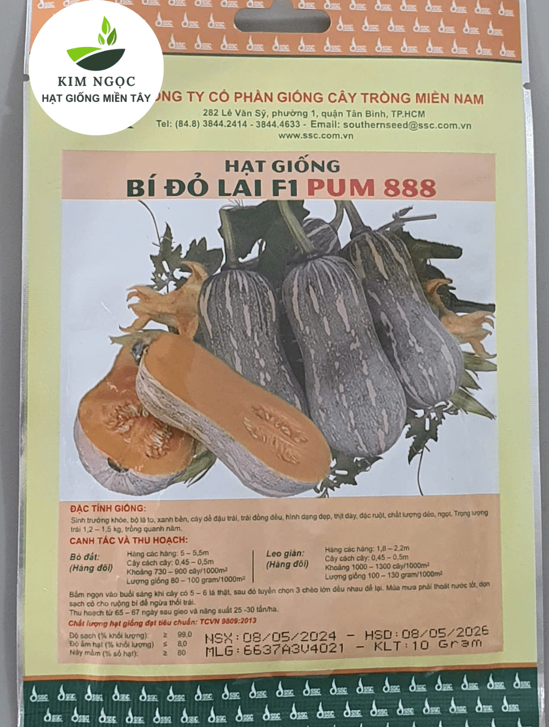 HẠT GIỐNG BÍ ĐỎ LAI F1 PUM 888