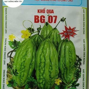 HẠT GIỐNG KHỔ QUA BG07