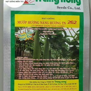 HẠT GIỐNG MƯỚP HƯƠNG TN 262