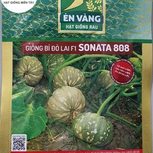 HẠT GIỐNG BÍ ĐỎ LAI F1 SONATA 808