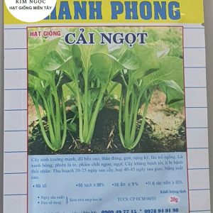 HẠT GIỐNG CẢI NGỌT