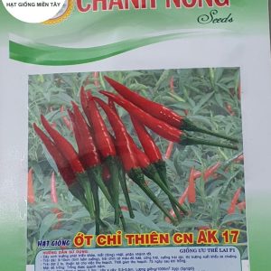 HẠT GIỐNG ỚT CHỈ THIÊN CN AK 17