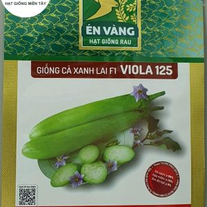 HẠT GIỐNG CÀ XANH LAI F1 VIOLA 125