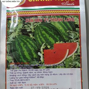 HẠT GIỐNG DƯA HẤU F1 THÀNH LONG