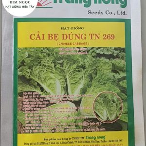 HẠT GIỐNG CẢI BẸ DÚNG TN 269