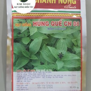 HẠT GIỐNG HÚNG QUẾ CN 08