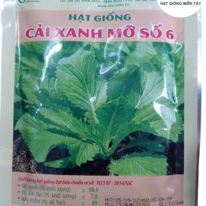 HẠT GIỐNG CẢI XANH MỠ SỐ 6
