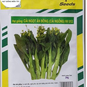 HẠT GIỐNG CẢI NGỌT ĂN BÔNG NV 012