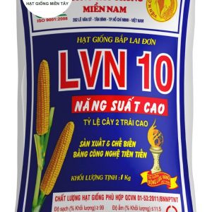 HẠT GIỐNG BẮP LAI ĐƠN LVN 10 NĂNG SUẤT CAO