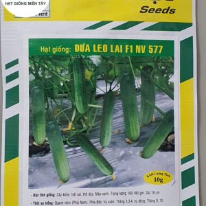 HẠT GIỐNG DƯA LEO LAI F1 NV 577