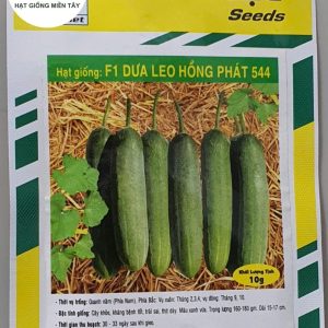 HẠT GIỐNG DƯA LEO HỒNG PHÁT F1 544