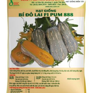 HẠT GIỐNG BÍ ĐỎ LAI F1 PUM 888