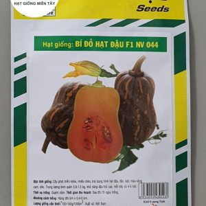 HẠT GIỐNG BÍ ĐỎ HẠT ĐẬU F1 NV 044