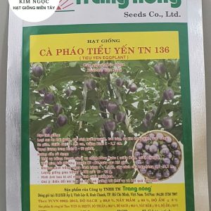 HẠT GIỐNG CÀ PHÁO TIỂU YẾN TN 136