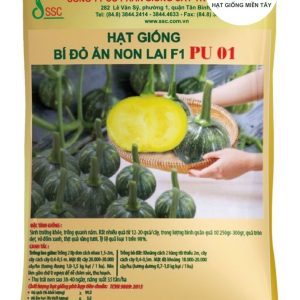 HẠT GIỐNG BÍ ĐỎ ĂN NON LAI F1 PU 01
