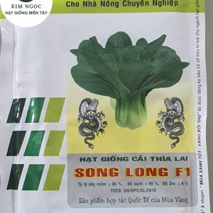 HẠT GIỐNG CẢI THÌA LAI SONG LONG F1