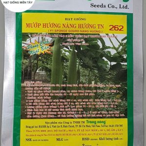HẠT GIỐNG MƯỚP HƯƠNG NÀNG HƯƠNG TN 262