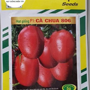 HẠT GIỐNG CÀ CHUA F1 806