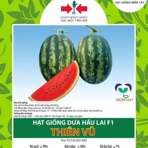 HẠT GIỐNG DƯA HẤU LAI F1 THIÊN VŨ
