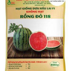 HẠT GIỐNG DƯA HẤU LAI F1 KHÔNG HẠT RỒNG ĐỎ 118