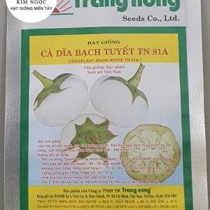 HẠT GIỐNG CÀ DĨA BẠCH TUYẾT TN 81A
