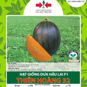 HẠT GIỐNG DƯA HẤU LAI F1 THIÊN HOÀNG 32