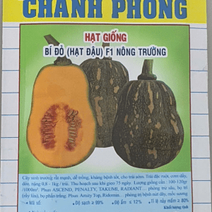 HẠT GIỐNG BÍ ĐỎ (HẠT ĐẬU) F1 NÔNG TRƯỞNG