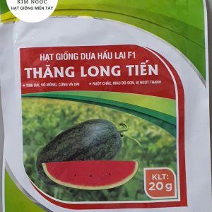 HẠT GIỐNG DƯA HẤU LAI F1 THĂNG LONG TIẾN