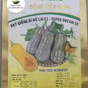 HẠT GIỐNG BÍ ĐỎ LAI F1 - SUPER DREAM 59