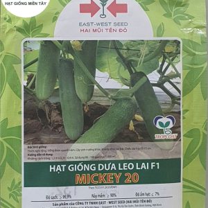 HẠT GIỐNG DƯA LEO F1 MICKEY 20