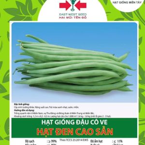 HẠT GIỐNG ĐẬU CÔ VE HẠT ĐEN CAO SẢN