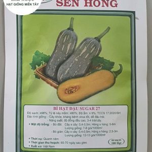 HẠT GIỐNG BÍ HẠT ĐẬU SUGAR 27