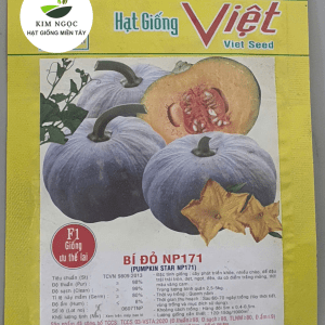 HẠT GIỐNG BÍ ĐỎ NP171