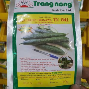 HẠT GIỐNG DƯA LEO F1 OKINAWA TN 841 (GÓI 10GR)
