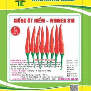 GIỐNG ỚT HIỂM WINNER 818