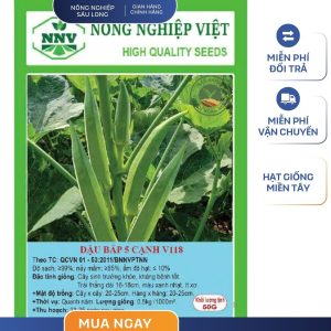 GÓI 50 GRAM - HẠT GIỐNG ĐẬU BẮP NĂM CẠNH V118 NÔNG NGHIỆP VIỆT - NĂNG SUẤT CAO