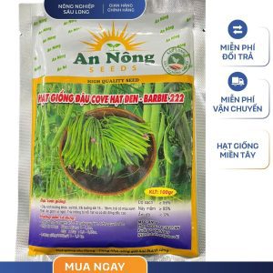 GÓI 100 GRAM - HẠT GIỐNG ĐẬU COVE HẠT ĐEN BARBIE 222 AN NÔNG - NĂNG SUẤT CAO