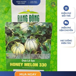GÓI 1 GRAM – HẠT GIỐNG DƯA LÊ SỌC HONEYMELON 330 RẠNG ĐÔNG